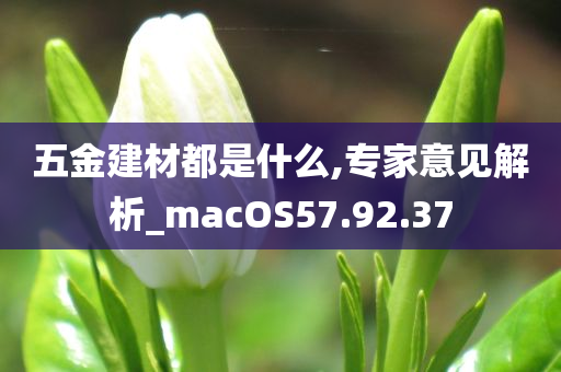 五金建材都是什么,专家意见解析_macOS57.92.37