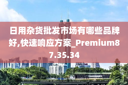 日用杂货批发市场有哪些品牌好,快速响应方案_Premium87.35.34