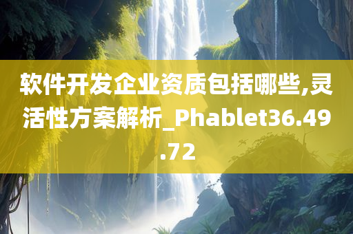 软件开发企业资质包括哪些,灵活性方案解析_Phablet36.49.72