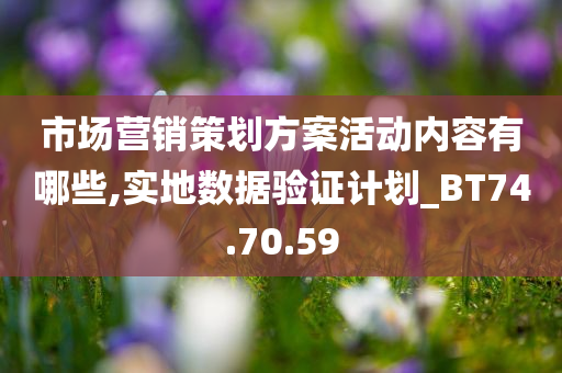 市场营销策划方案活动内容有哪些,实地数据验证计划_BT74.70.59