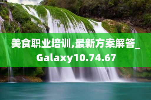 美食职业培训,最新方案解答_Galaxy10.74.67