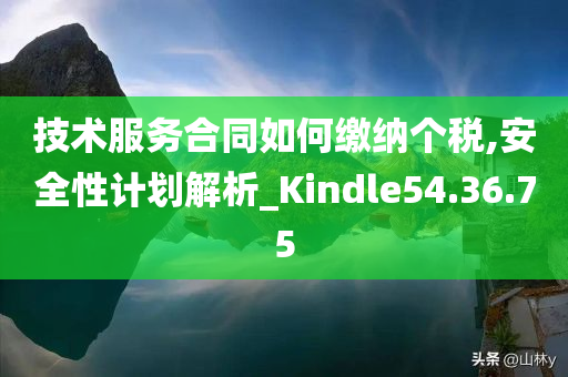 技术服务合同如何缴纳个税,安全性计划解析_Kindle54.36.75