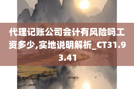 代理记账公司会计有风险吗工资多少,实地说明解析_CT31.93.41