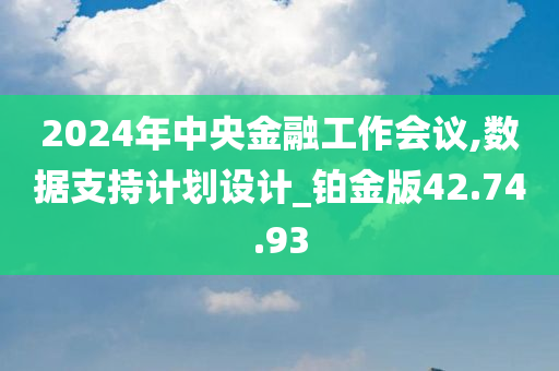 2024年中央金融工作会议,数据支持计划设计_铂金版42.74.93