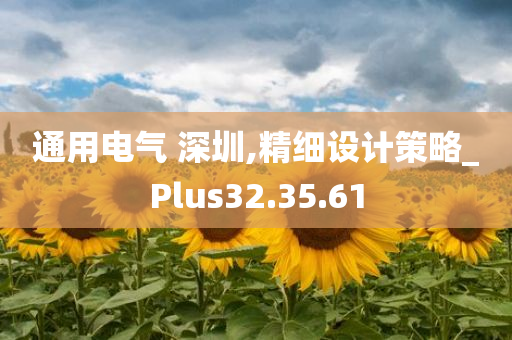 通用电气 深圳,精细设计策略_Plus32.35.61