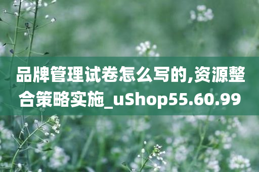 品牌管理试卷怎么写的,资源整合策略实施_uShop55.60.99