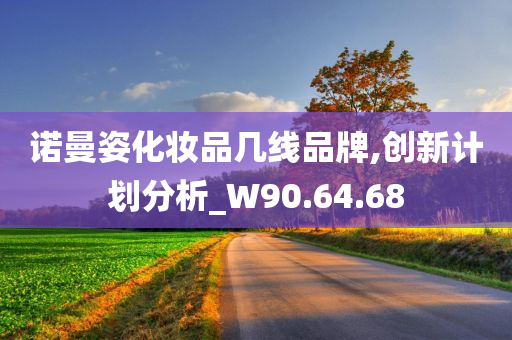 诺曼姿化妆品几线品牌,创新计划分析_W90.64.68