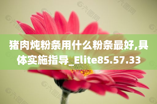 猪肉炖粉条用什么粉条最好,具体实施指导_Elite85.57.33