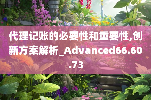 代理记账的必要性和重要性,创新方案解析_Advanced66.60.73