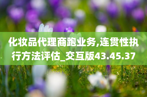 化妆品代理商跑业务,连贯性执行方法评估_交互版43.45.37