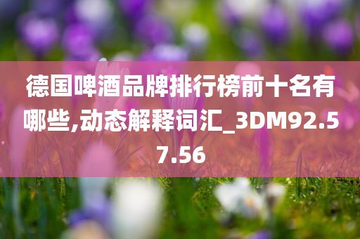 德国啤酒品牌排行榜前十名有哪些,动态解释词汇_3DM92.57.56