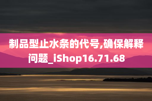 制品型止水条的代号,确保解释问题_iShop16.71.68