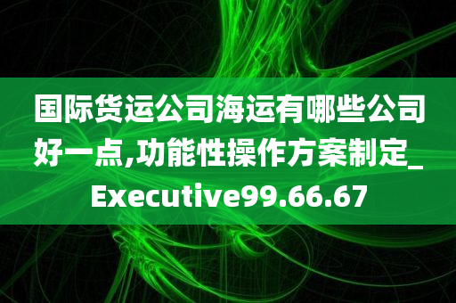 国际货运公司海运有哪些公司好一点,功能性操作方案制定_Executive99.66.67