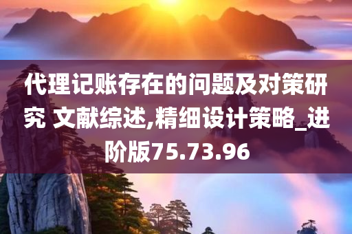 代理记账存在的问题及对策研究 文献综述,精细设计策略_进阶版75.73.96