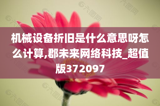 机械设备折旧是什么意思呀怎么计算,郡未来网络科技_超值版372097