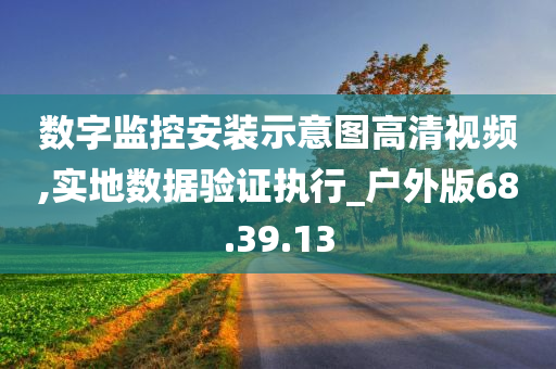 数字监控安装示意图高清视频,实地数据验证执行_户外版68.39.13