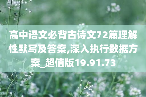 高中语文必背古诗文72篇理解性默写及答案,深入执行数据方案_超值版19.91.73