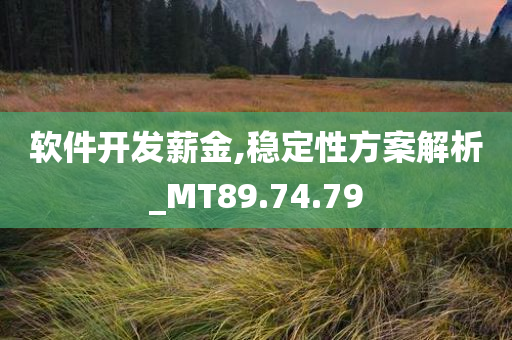 软件开发薪金,稳定性方案解析_MT89.74.79