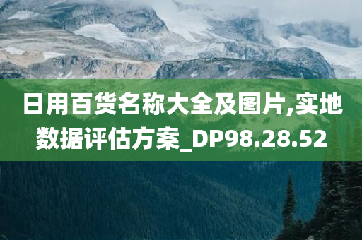 日用百货名称大全及图片,实地数据评估方案_DP98.28.52