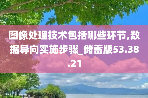 图像处理技术包括哪些环节,数据导向实施步骤_储蓄版53.38.21