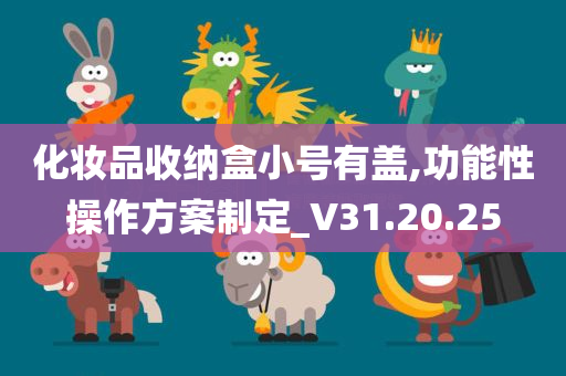 化妆品收纳盒小号有盖,功能性操作方案制定_V31.20.25