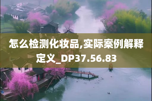 怎么检测化妆品,实际案例解释定义_DP37.56.83