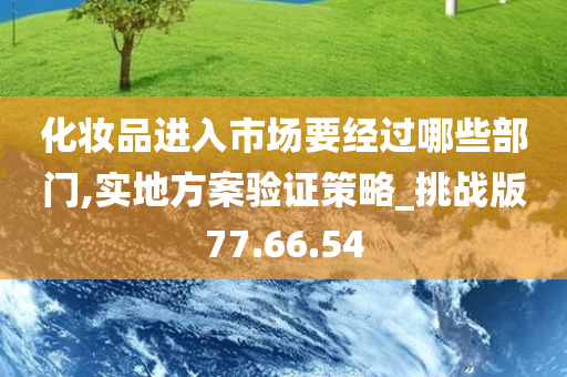 化妆品进入市场要经过哪些部门,实地方案验证策略_挑战版77.66.54