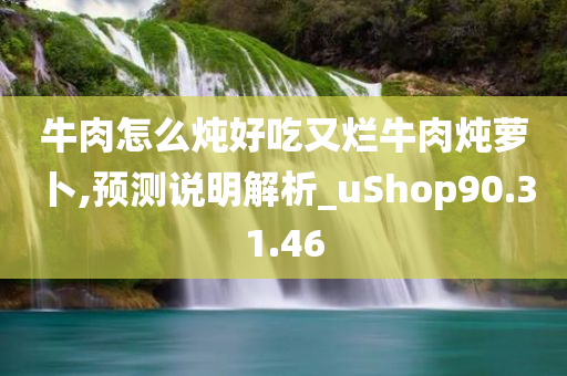 牛肉怎么炖好吃又烂牛肉炖萝卜,预测说明解析_uShop90.31.46