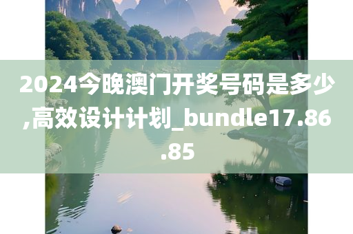 2024今晚澳门开奖号码是多少,高效设计计划_bundle17.86.85