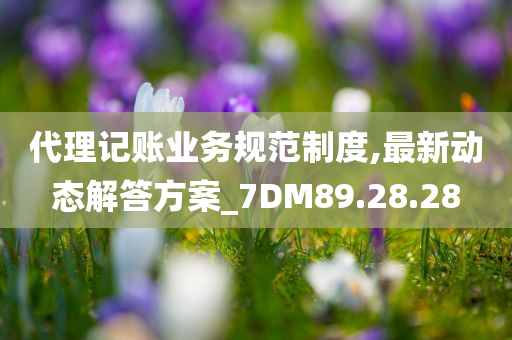 代理记账业务规范制度,最新动态解答方案_7DM89.28.28