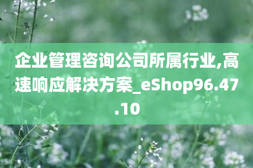 企业管理咨询公司所属行业,高速响应解决方案_eShop96.47.10