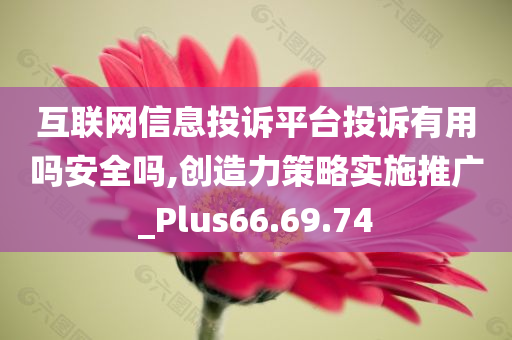 互联网信息投诉平台投诉有用吗安全吗,创造力策略实施推广_Plus66.69.74