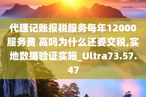 代理记账报税服务每年12000服务费 高吗为什么还要交税,实地数据验证实施_Ultra73.57.47