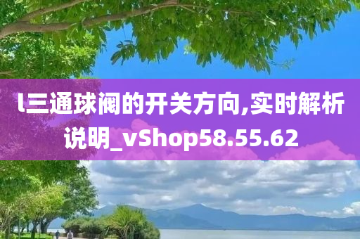 l三通球阀的开关方向,实时解析说明_vShop58.55.62