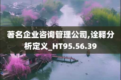 著名企业咨询管理公司,诠释分析定义_HT95.56.39