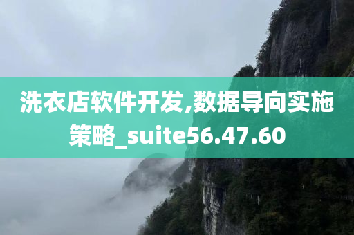 洗衣店软件开发,数据导向实施策略_suite56.47.60