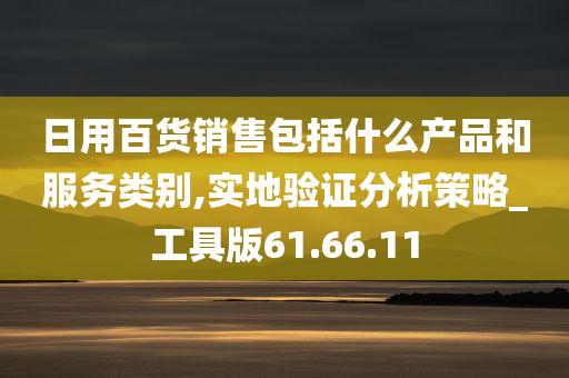 日用百货销售包括什么产品和服务类别,实地验证分析策略_工具版61.66.11