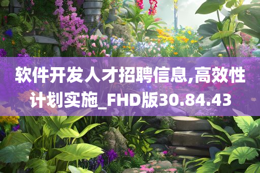 软件开发人才招聘信息,高效性计划实施_FHD版30.84.43