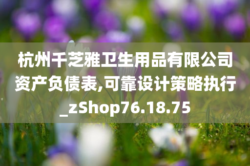 杭州千芝雅卫生用品有限公司资产负债表,可靠设计策略执行_zShop76.18.75