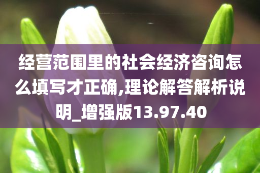 经营范围里的社会经济咨询怎么填写才正确,理论解答解析说明_增强版13.97.40