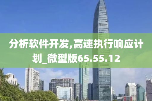 分析软件开发,高速执行响应计划_微型版65.55.12