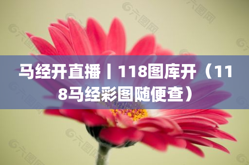 马经开直播丨118图库开（118马经彩图随便查）