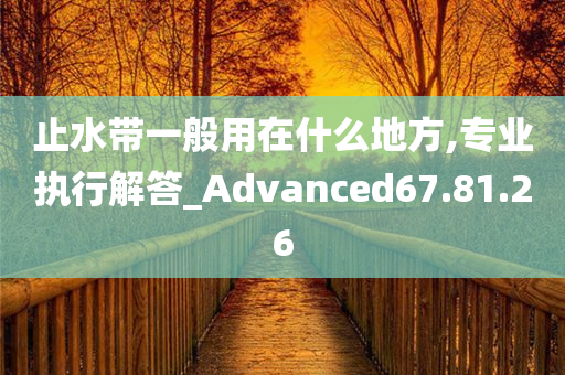 止水带一般用在什么地方,专业执行解答_Advanced67.81.26