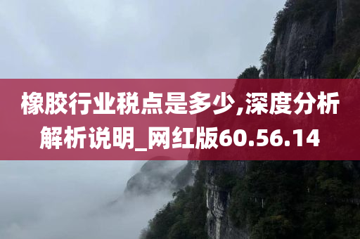 橡胶行业税点是多少,深度分析解析说明_网红版60.56.14