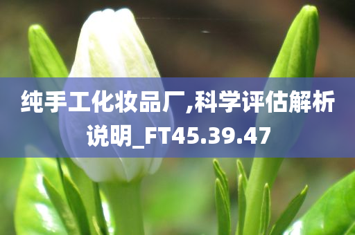 纯手工化妆品厂,科学评估解析说明_FT45.39.47