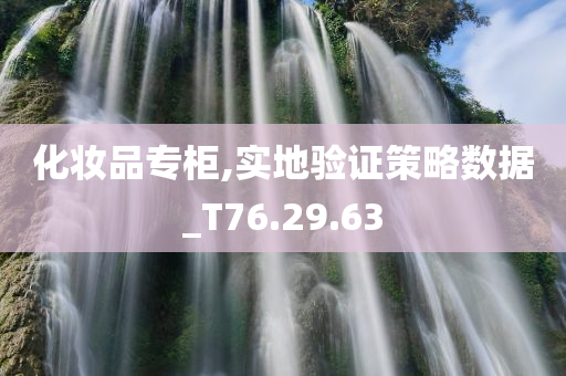 化妆品专柜,实地验证策略数据_T76.29.63