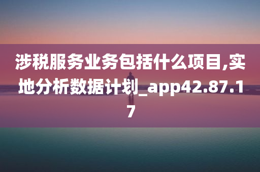 涉税服务业务包括什么项目,实地分析数据计划_app42.87.17