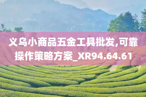 义乌小商品五金工具批发,可靠操作策略方案_XR94.64.61