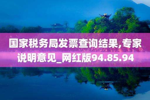 国家税务局发票查询结果,专家说明意见_网红版94.85.94