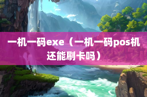 一机一码exe（一机一码pos机还能刷卡吗）